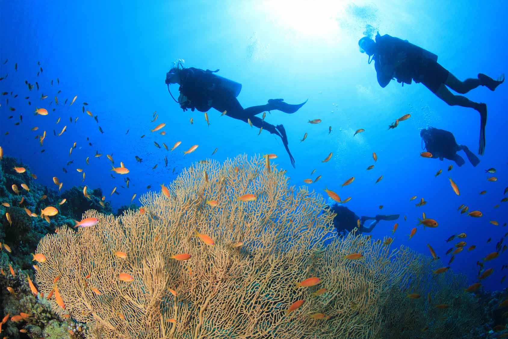 scuba-diving-in-el-nido-philippines