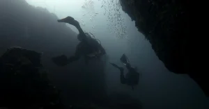 deep diver specialty el nido palawan divers