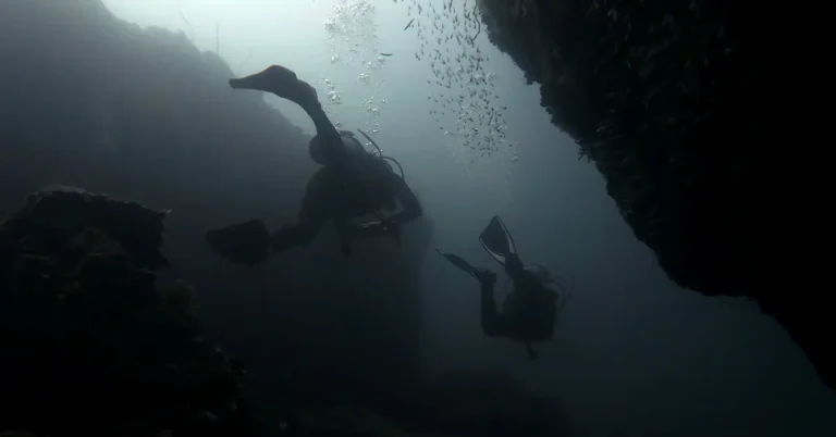 deep diver specialty el nido palawan divers