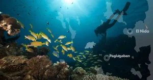 dive sites paglugaban el nido philippines