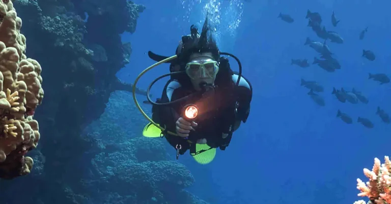 advanced course el nido palawan divers