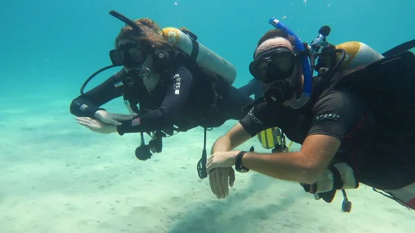 referral course el nido palawan divers