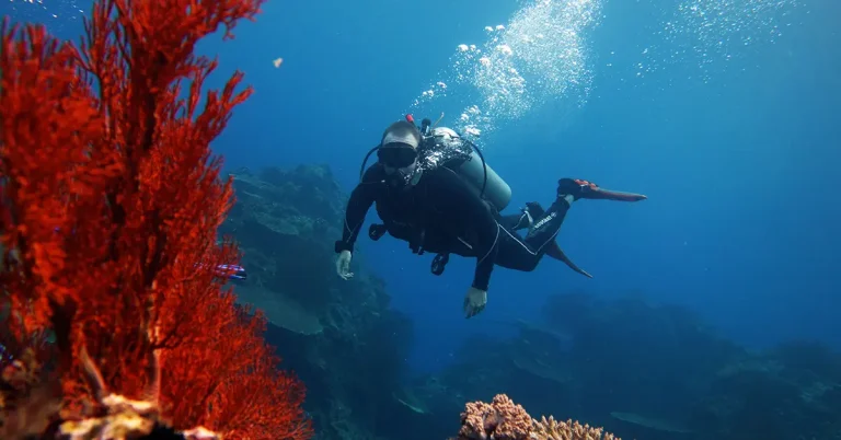 referral course el nido palawan divers