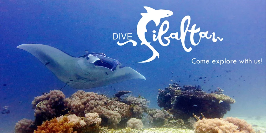 dive sibaltan el nido palawan