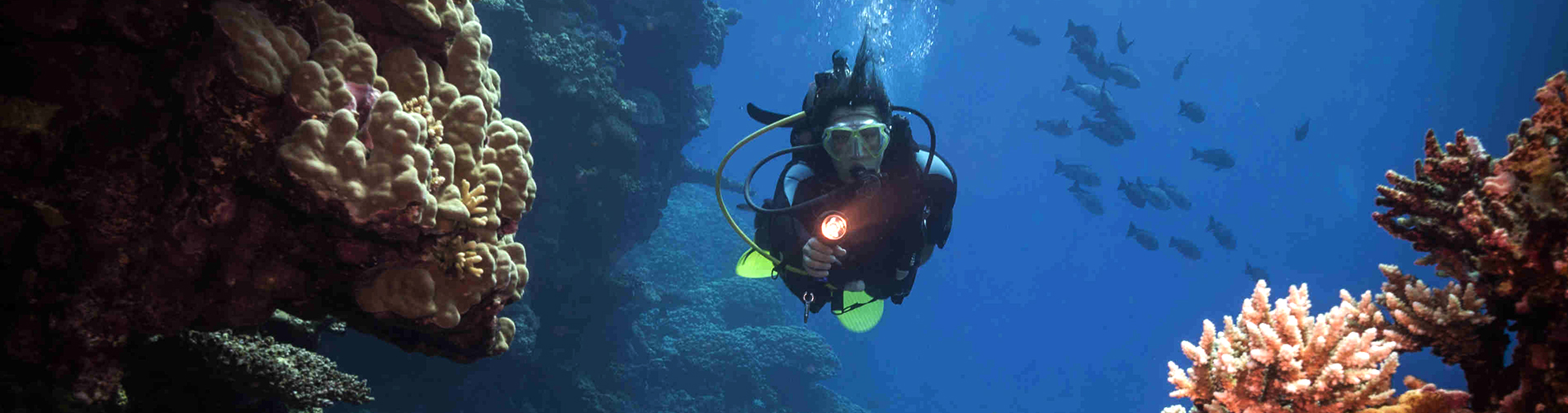 palawan divers advanced course