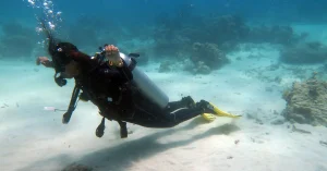 peak performance buoyancy specialty el nido palawan divers