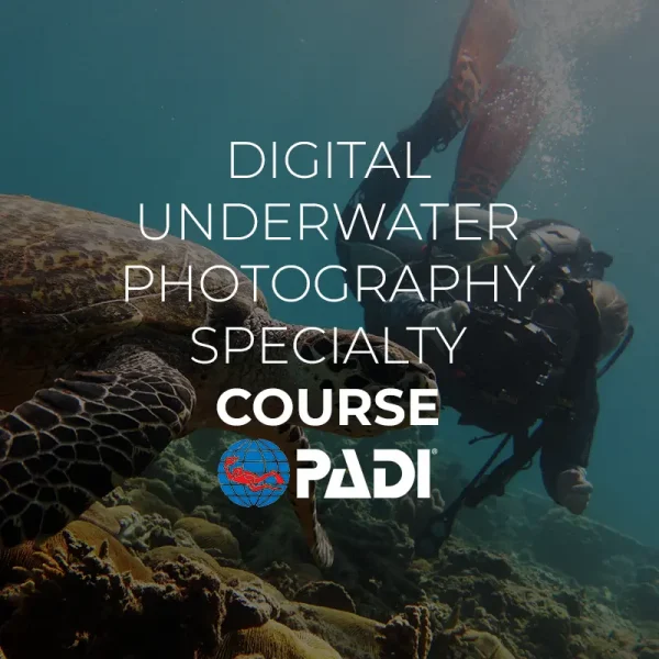 digital underwater photography specialty el nido palawan divers