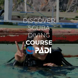 discover scuba diving el nido palawan divers