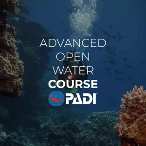 padi advanced open water el nido palawan divers