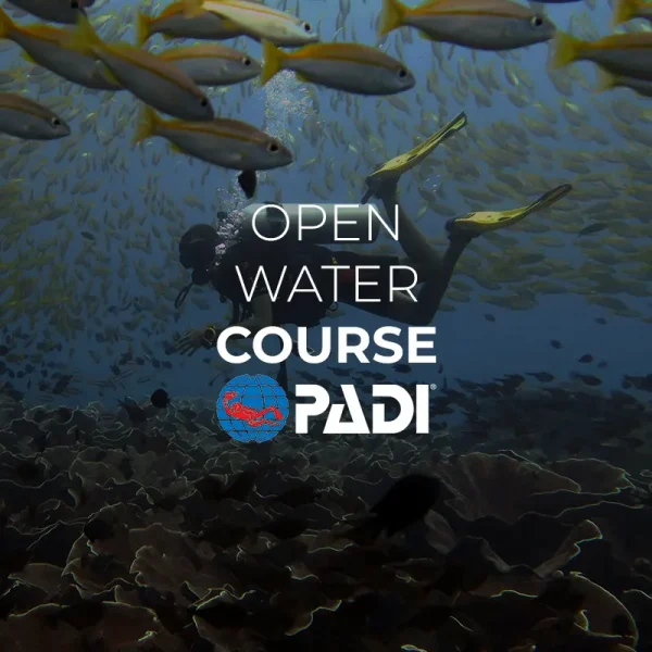 padi open water course el nido palawan