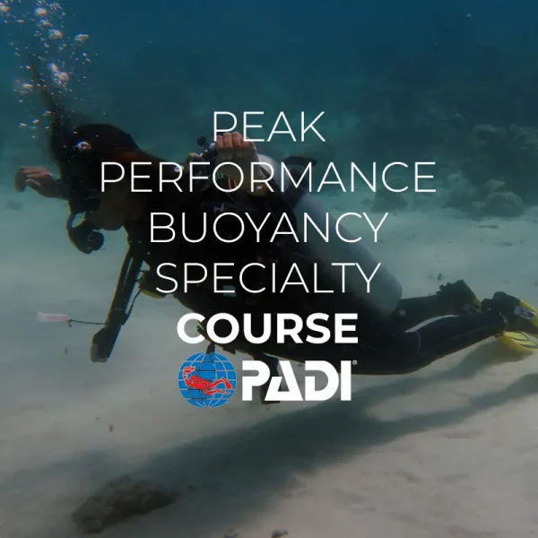 peak performance buoyancy specialty el nido palawan divers