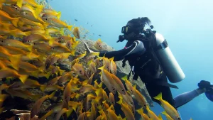 south miniloc diver el nido