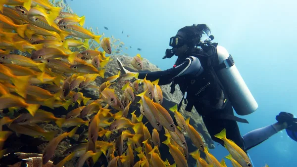 south miniloc diver el nido