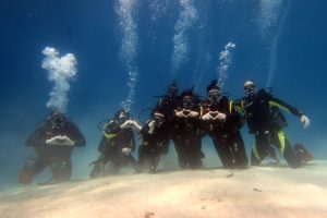 sandy area pradise el nido palawan divers